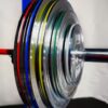 Mayhem Strength Chrome Calibrated Plates - Image 13