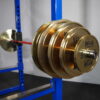 Mayhem Strength Gold Chrome Calibrated Plates - Image 2