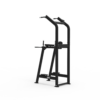 Chin/Dip/Leg Raise