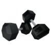 MAYHEM STRENGTH RUBBER HEX DUMBBELLS 80lb