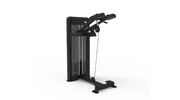 Standing Calf Raise